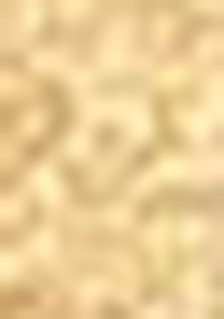 Beige Zari Work Silk Saree Set