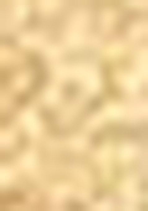 Beige Zari Work Silk Saree Set