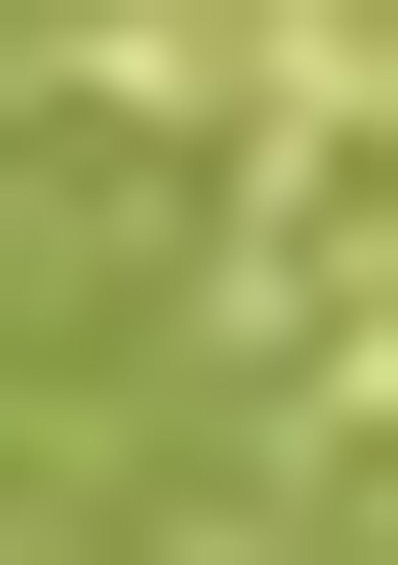 Green Zari Work Silk Saree Set