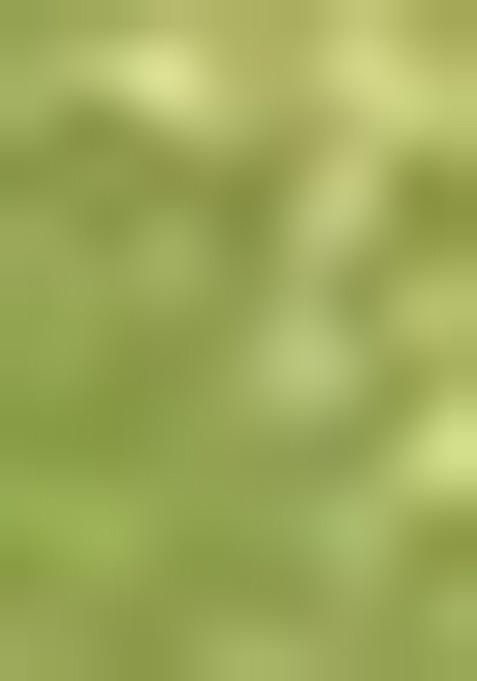 Green Zari Work Silk Saree Set