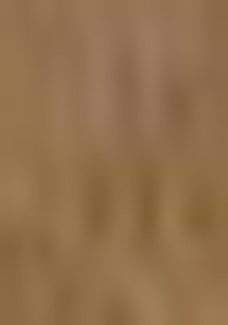 Beige Resham Woven Cotton Saree Set