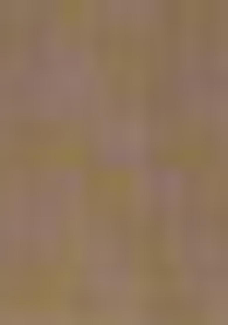 Grey Resham Woven Cotton Saree Set - Indya