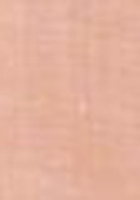 Peach Resham Woven Cotton Saree Set