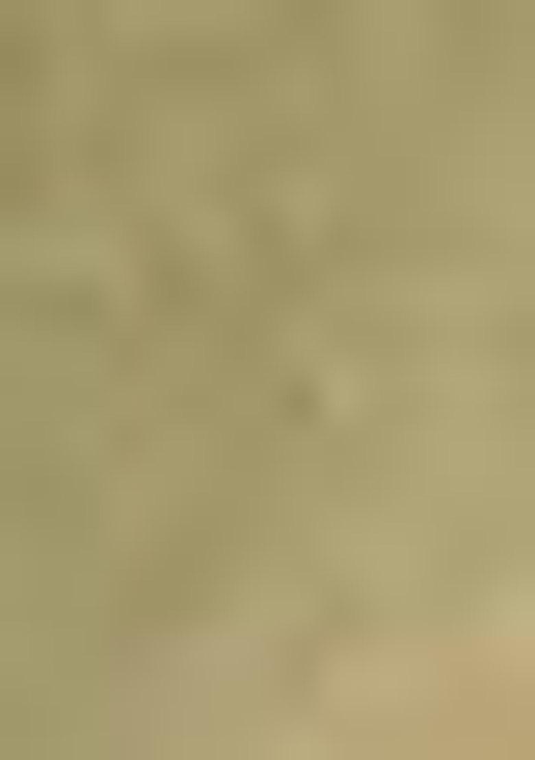 Green Resham Woven Cotton Saree Set