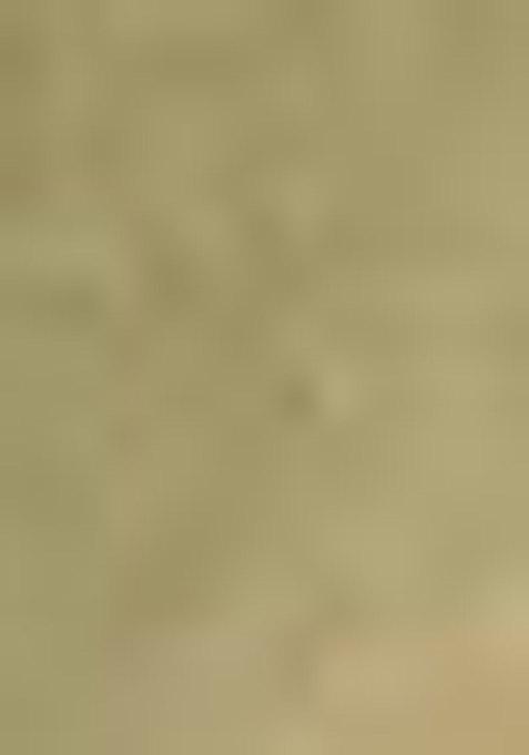 Green Resham Woven Cotton Saree Set