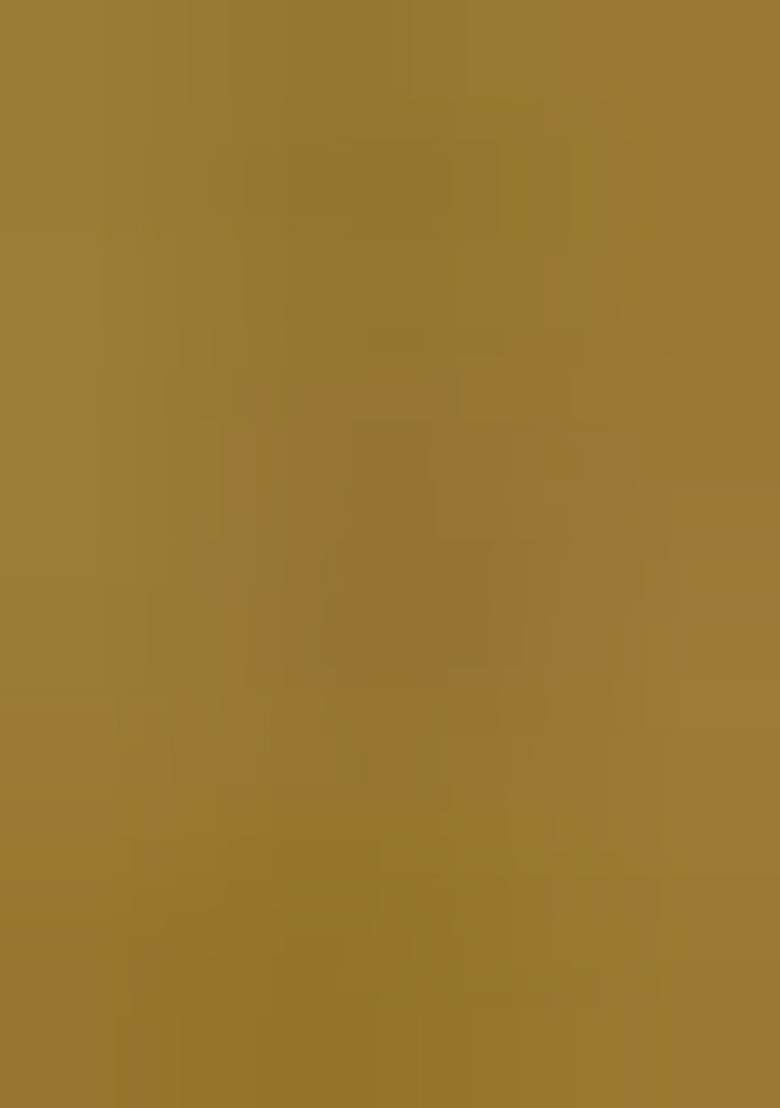 Brown Zari Work Silk Saree Set