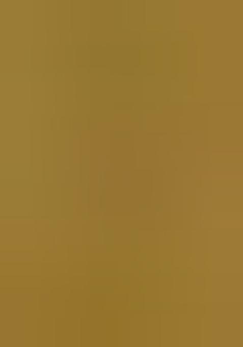 Brown Zari Work Silk Saree Set