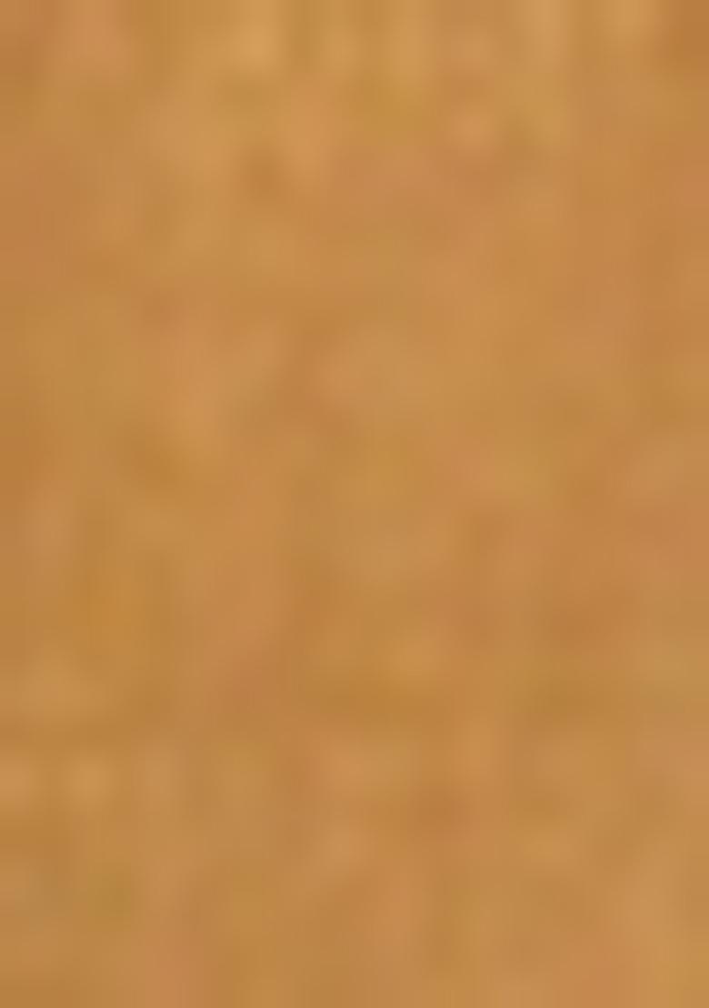 Golden Solid Tissue Saree Set