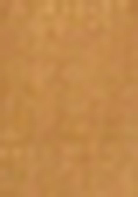 Golden Solid Tissue Saree Set