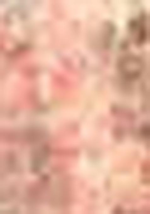 Grey Printed Chanderi Saree Set