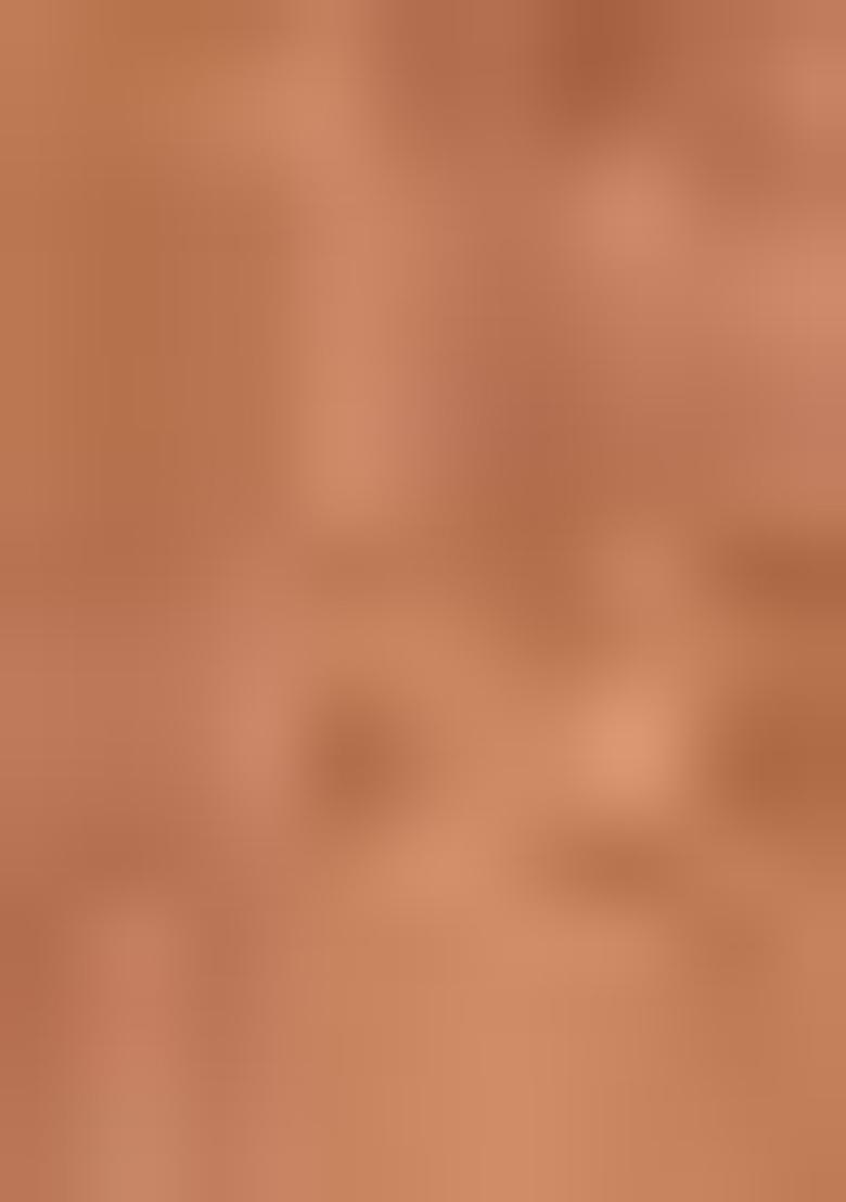 Brown Printed Chanderi Saree Set