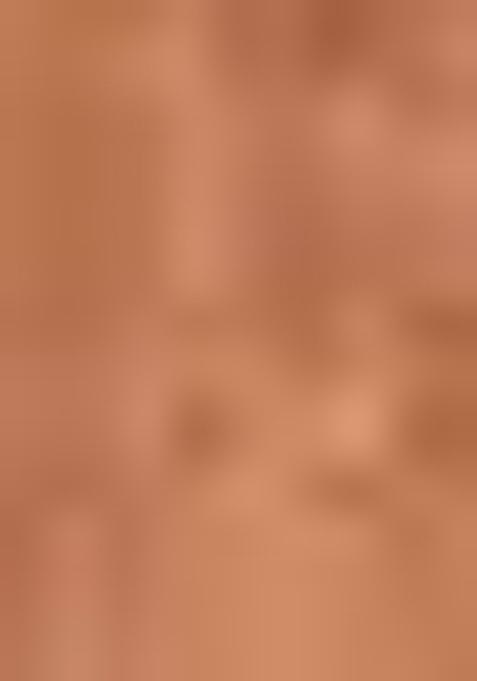 Brown Printed Chanderi Saree Set