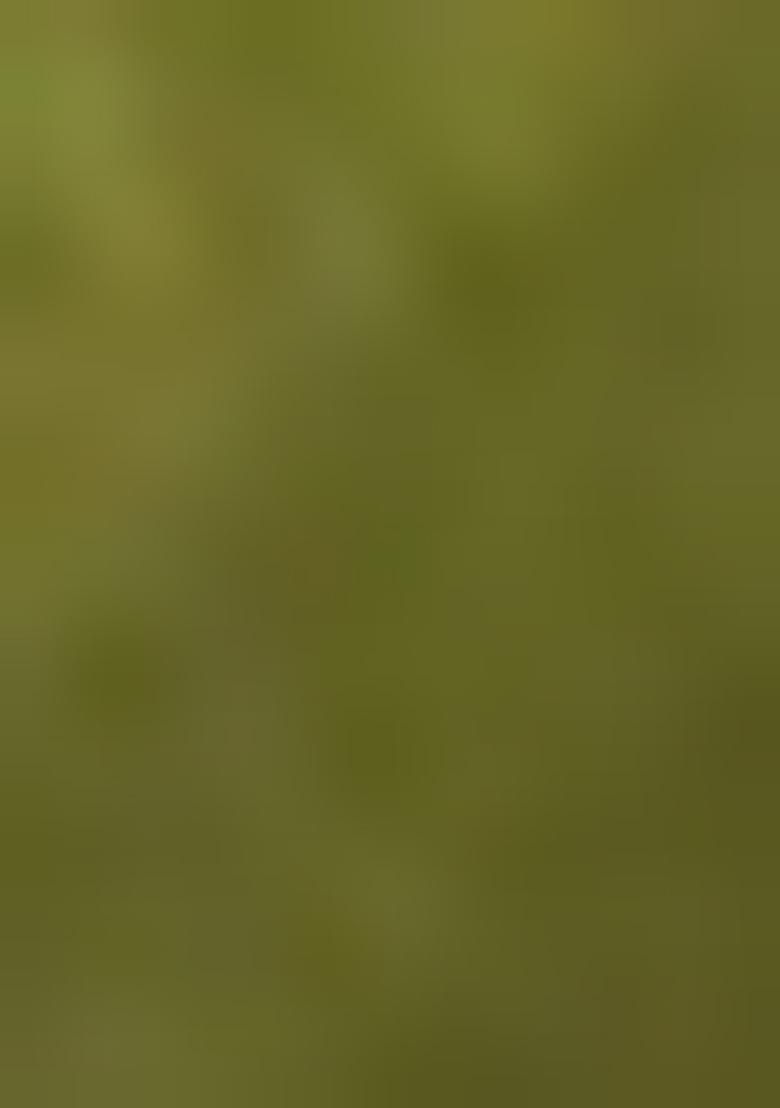 Deep Green Jamdani Art Silk Saree