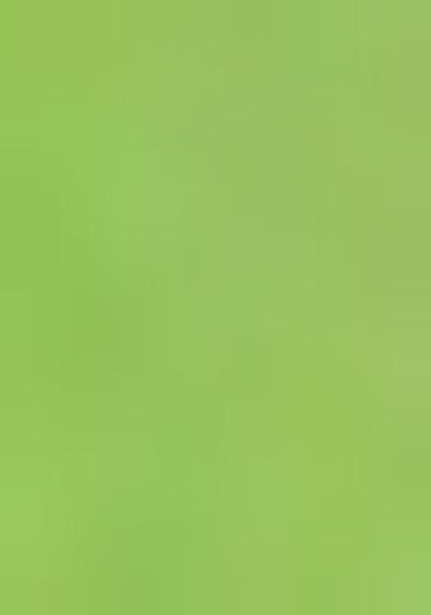 Light Green Jamdani Art Silk Saree