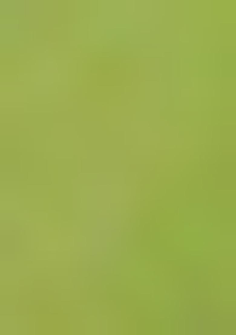 Deep Green Jamdani Art Silk Saree