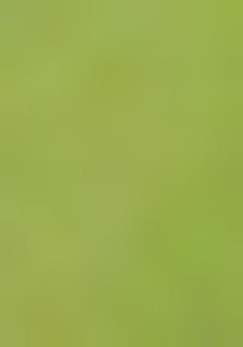 Deep Green Jamdani Art Silk Saree