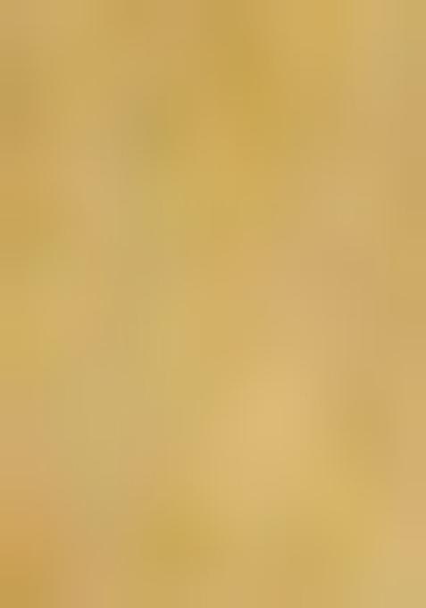 Beige Jamdani Art Silk Saree