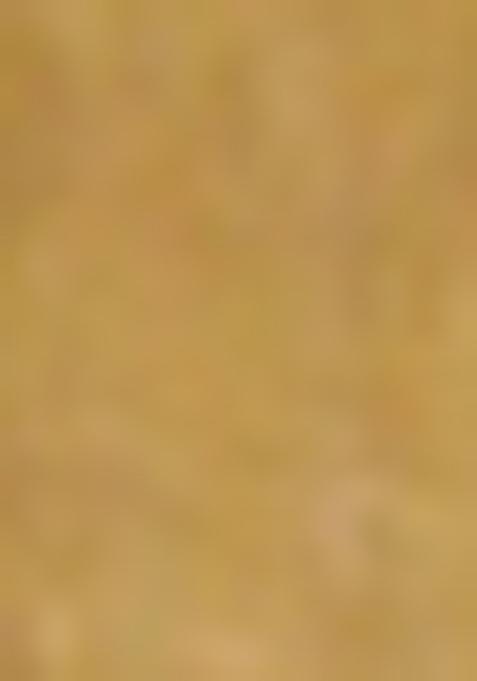 Beige Jamdani Art Silk Saree