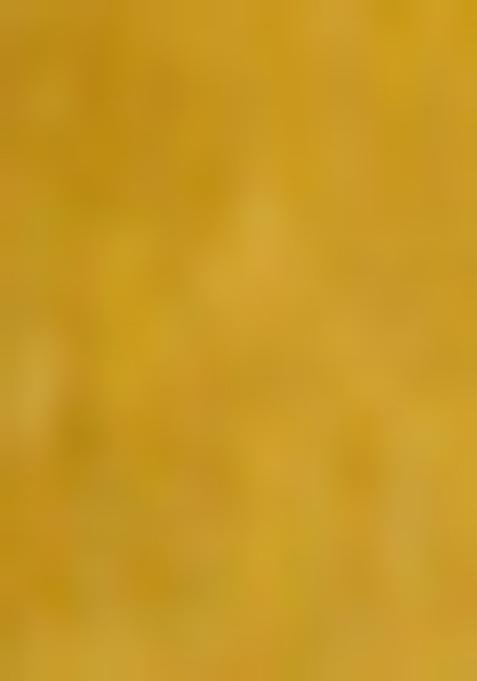 Beige Jamdani Art Silk Saree