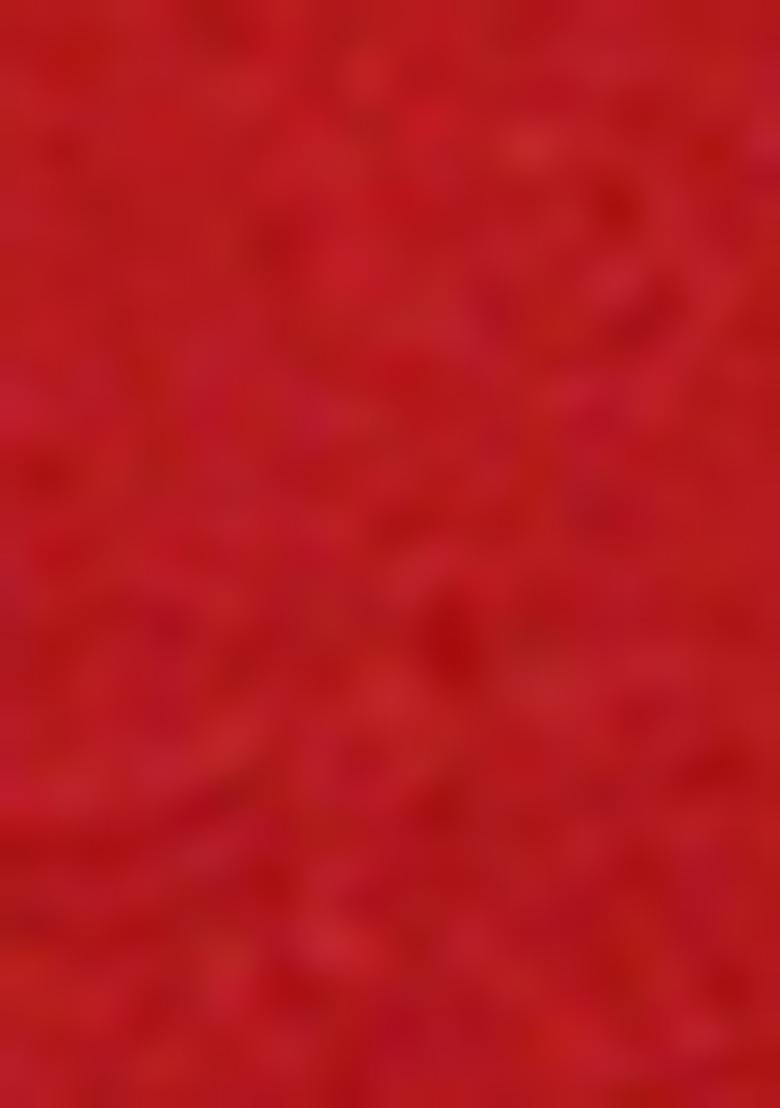 Red Embroidered Art Silk Saree Set