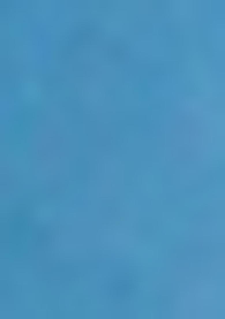 Sky Blue Jamdani Art Silk Saree