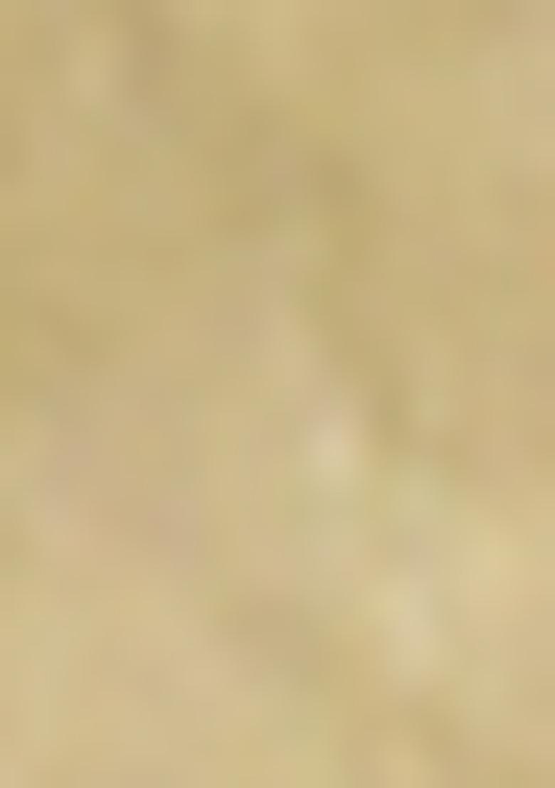 Beige Jamdani Art Silk Saree