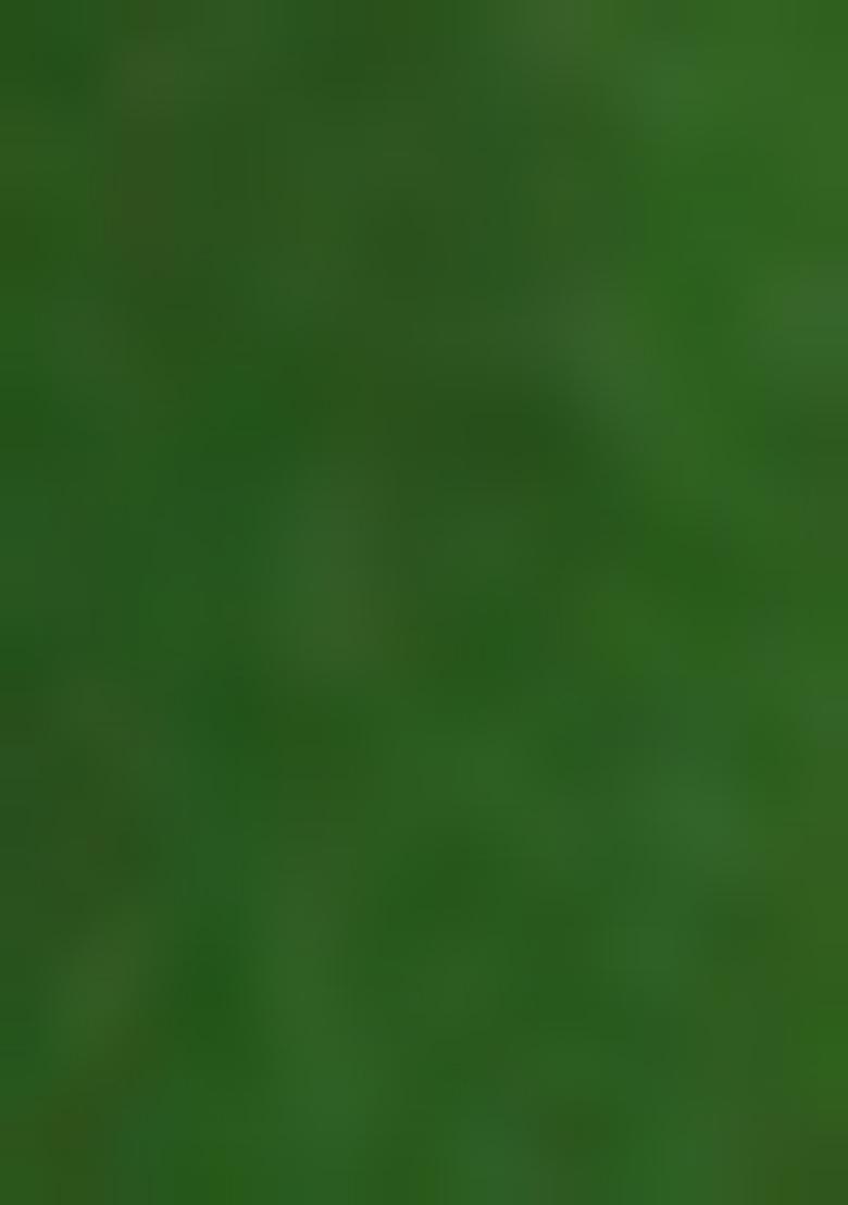 Green Jamdani Art Silk Saree