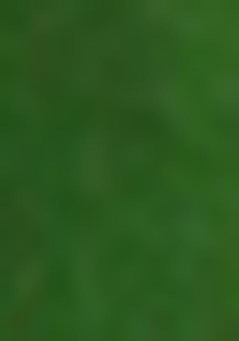 Green Jamdani Art Silk Saree