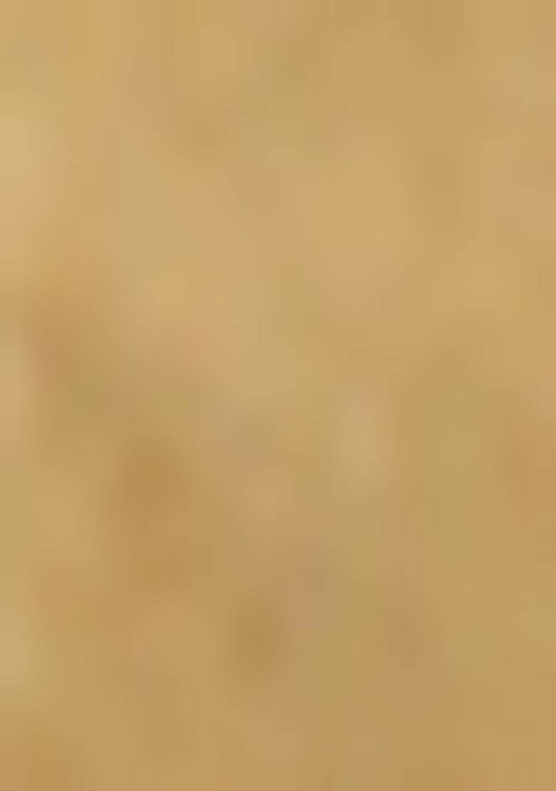 Beige Jamdani Art Silk Saree