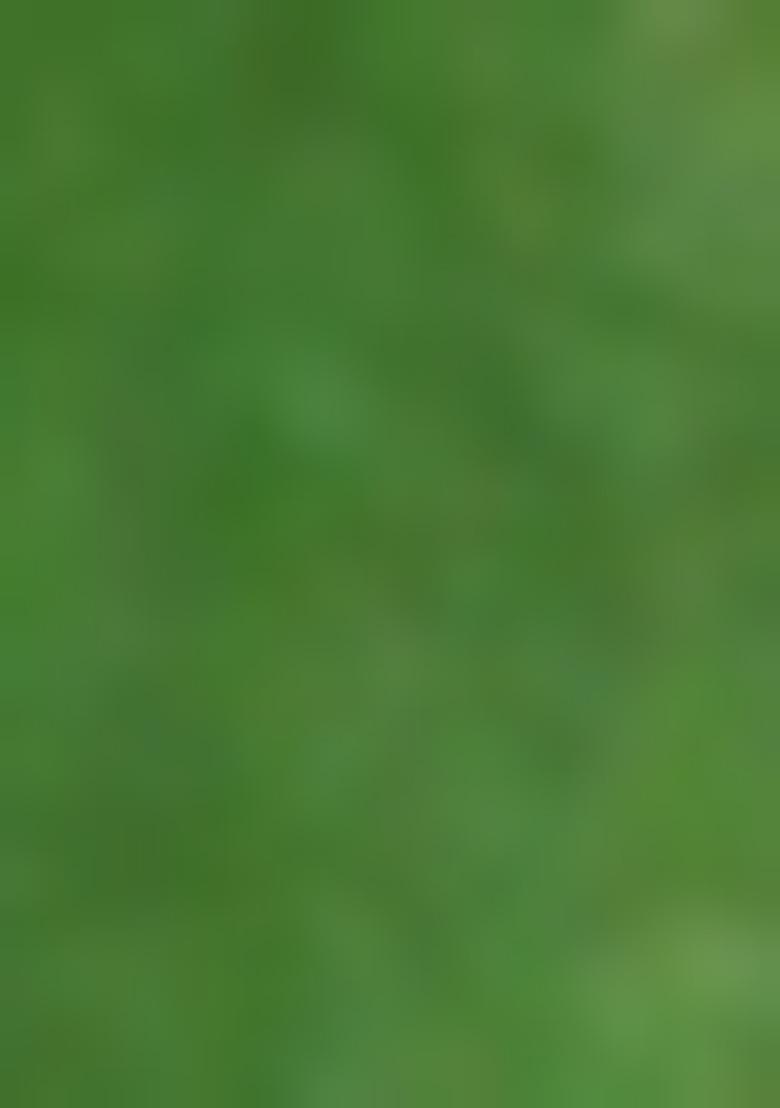 Green Jamdani Art Silk Saree