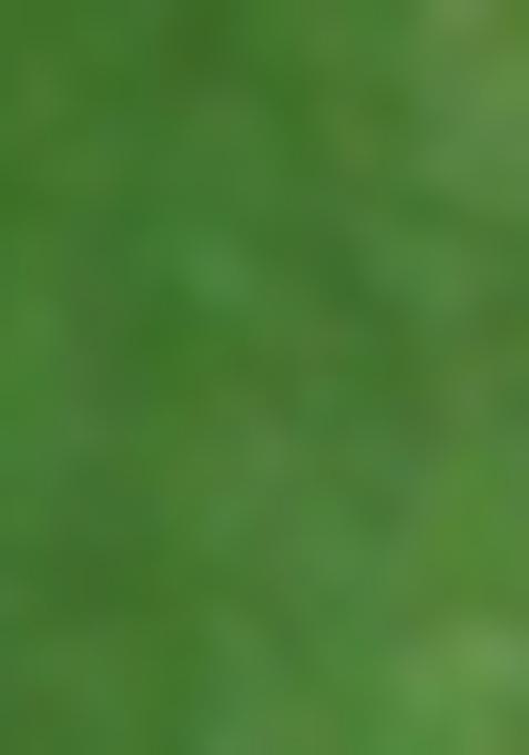 Green Jamdani Art Silk Saree