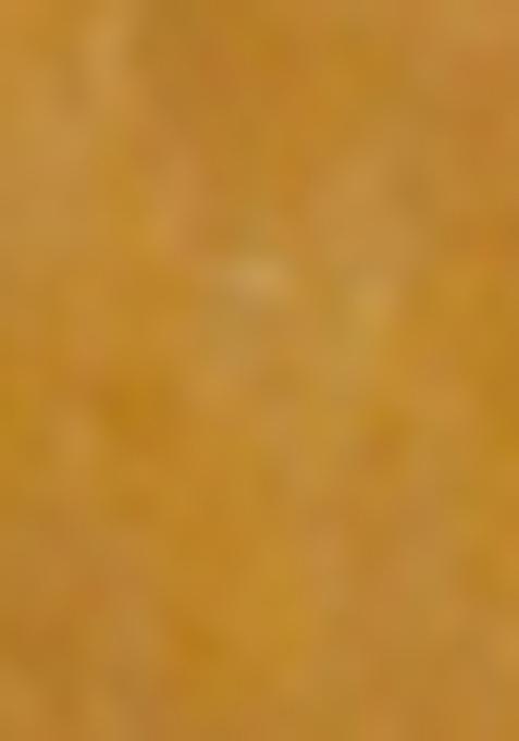 Beige Jamdani Art Silk Saree