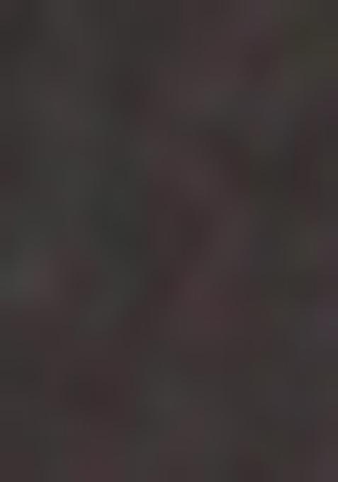 Black Weaving Art Silk Saree