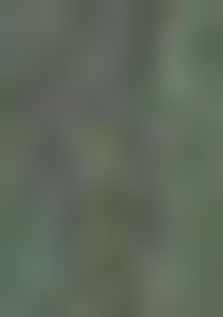 Pista Green Jamdani Art Silk Saree