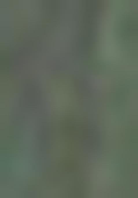 Pista Green Jamdani Art Silk Saree