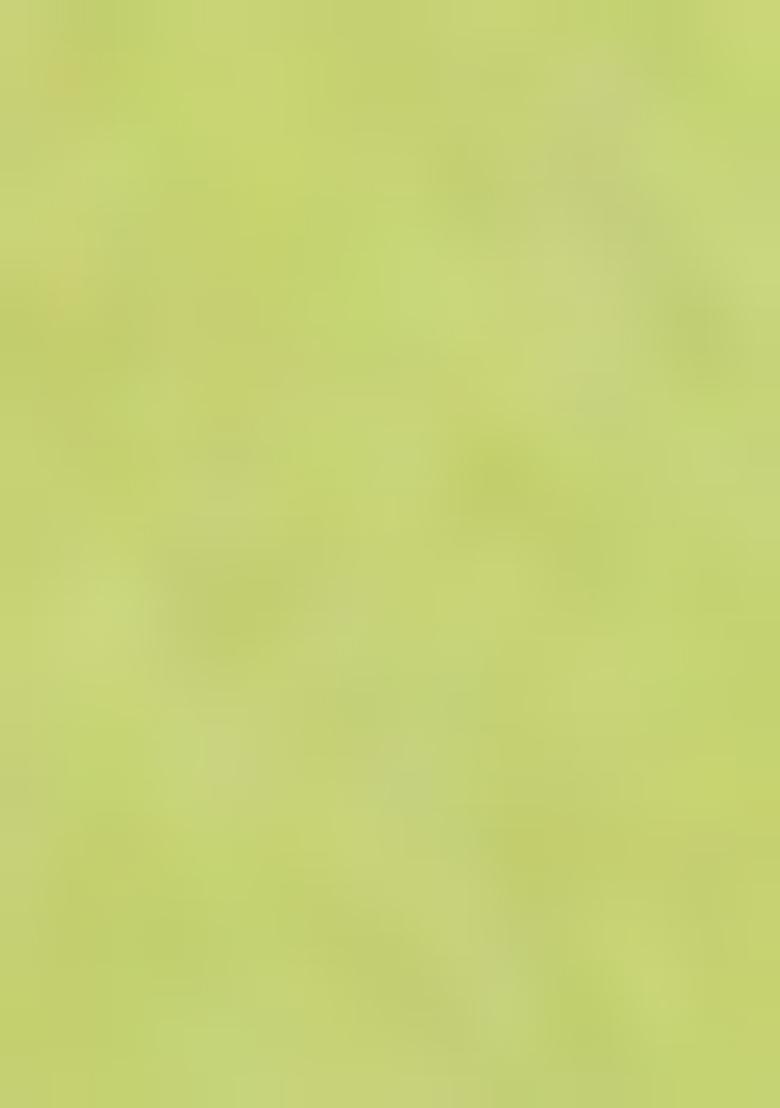 Green Jamdani Art Silk Saree