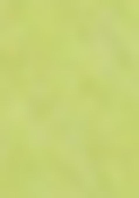 Green Jamdani Art Silk Saree