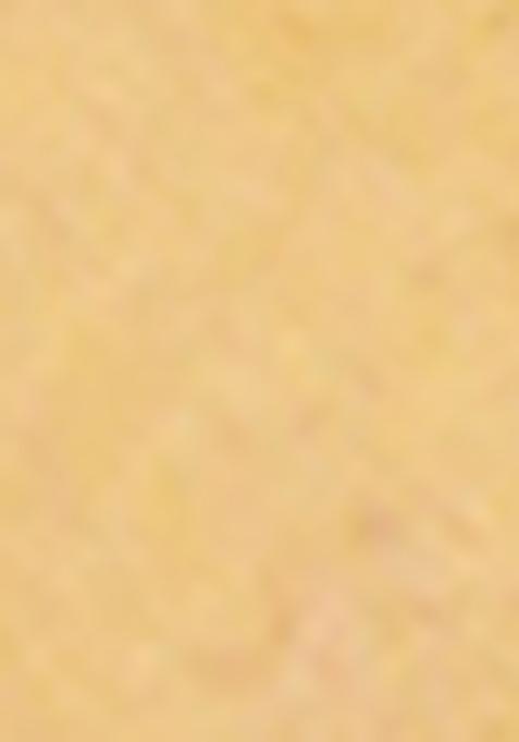 Beige Jamdani Art Silk Saree