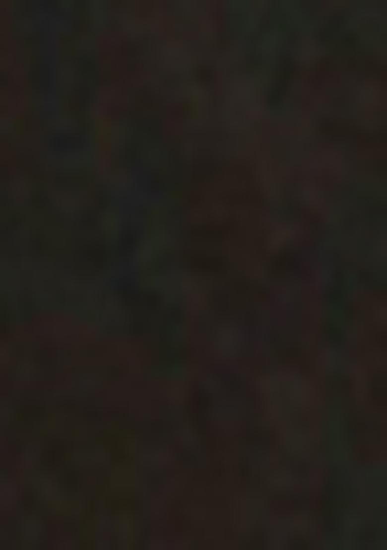 Black Embroidered Art Silk Saree Set