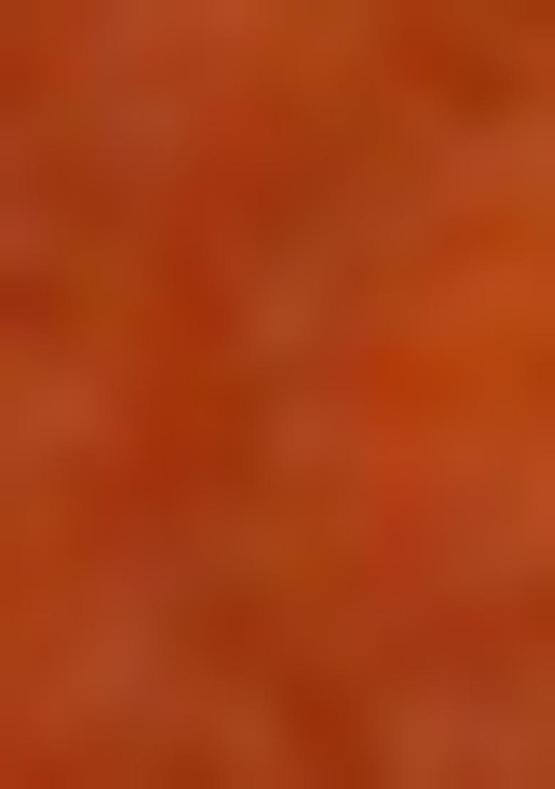 Orange Embroidered Art Silk Saree Set - Indya