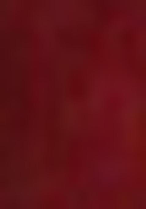 Red Embroidered Art Silk Saree Set