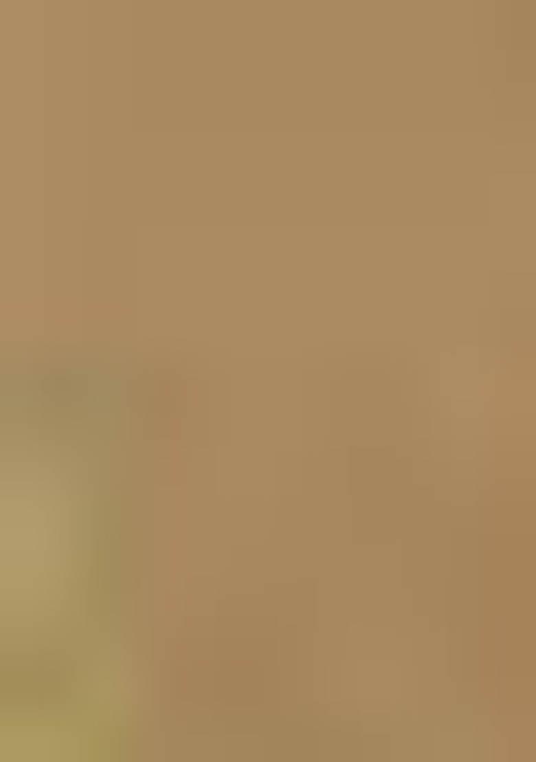 Beige Jamdani Art Silk Saree