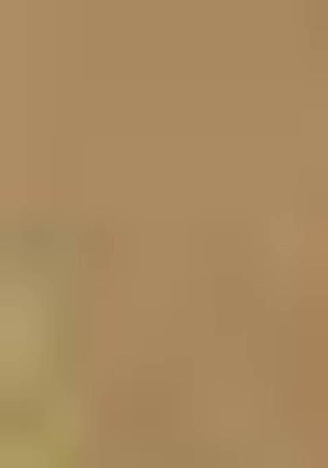 Beige Jamdani Art Silk Saree