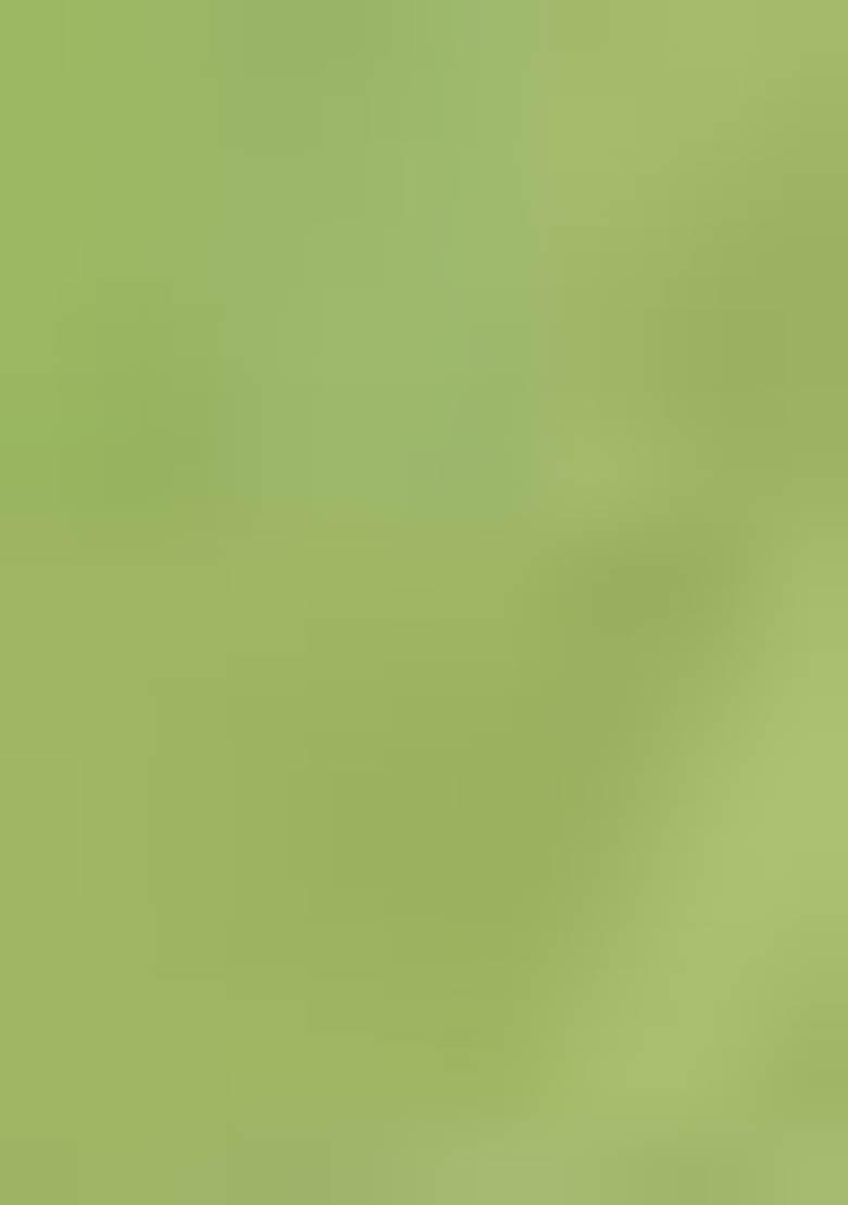 Green Jamdani Art Silk Saree