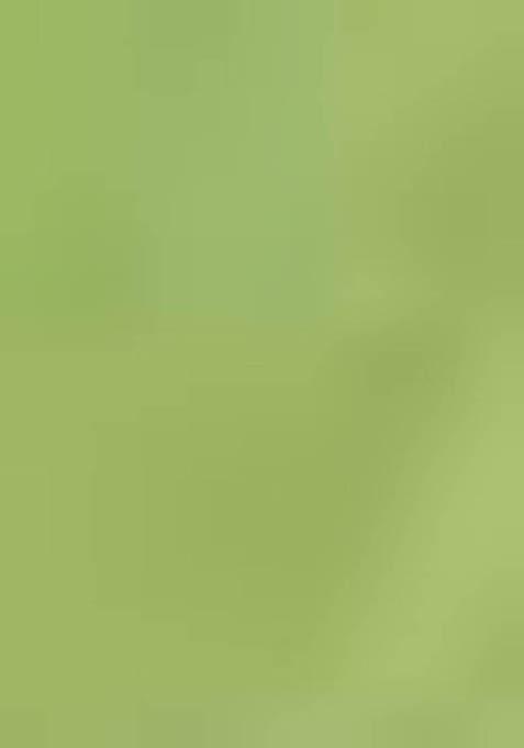 Green Jamdani Art Silk Saree