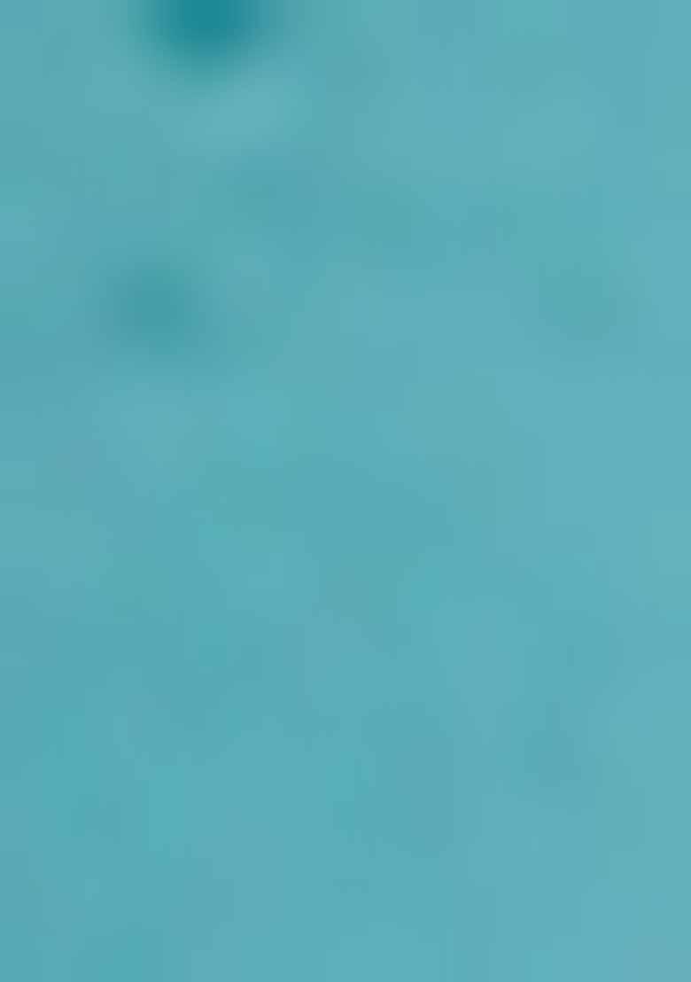 Sky Blue Embroidered Georgette Saree Set