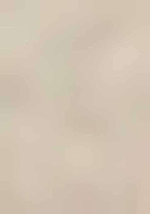 Parrot Green Embroidered Georgette Saree Set