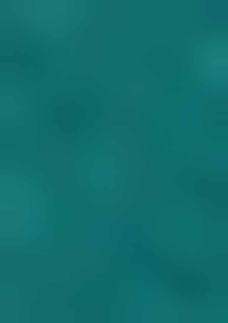 Green Embroidered Georgette Saree Set