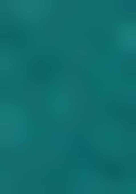 Green Embroidered Georgette Saree Set