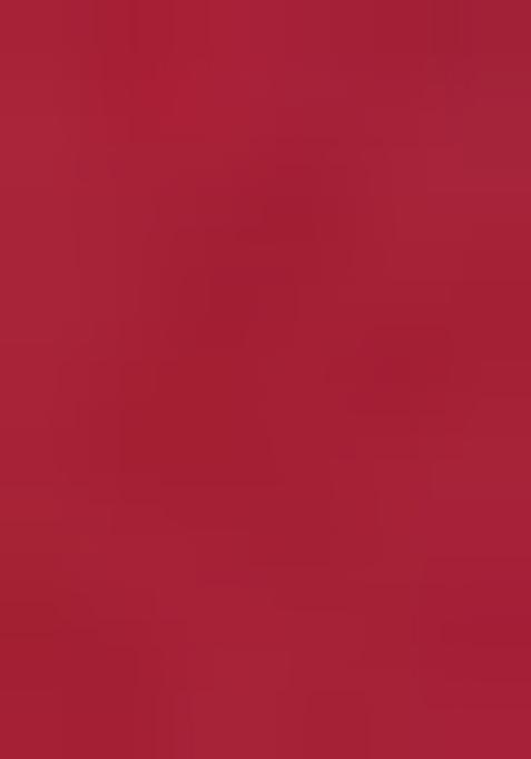 Pink Zari Embroidered Silk Saree Set